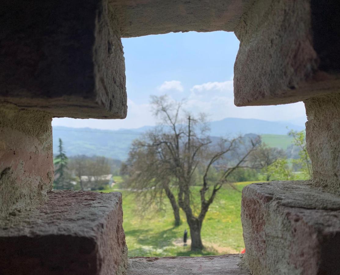 Agriturismo Il Filare Neviano degli Arduini エクステリア 写真