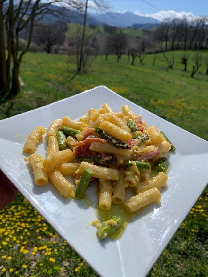 Agriturismo Il Filare Neviano degli Arduini エクステリア 写真